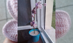 Lire la suite à propos de l’article # crochet : une orchidée pour la maîtresse